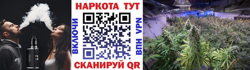Как найти закладки Стерлитамак Cocaine  Псилоцибиновые грибы  СОЛЬ  Канабис  ГАШ 