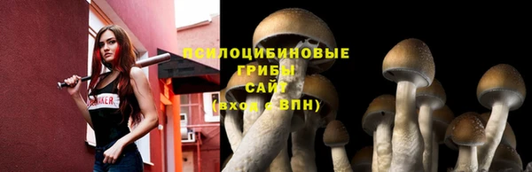 тгк Нея