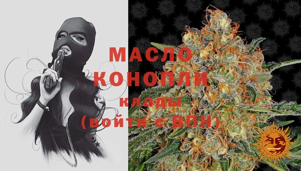 тгк Нея