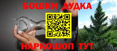 индика Донецк