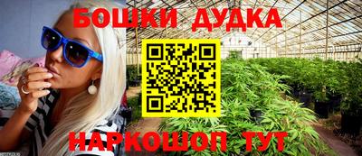 индика Донецк